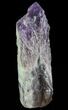 Elestial Amethyst Crystal Point - Brazil #64739-2